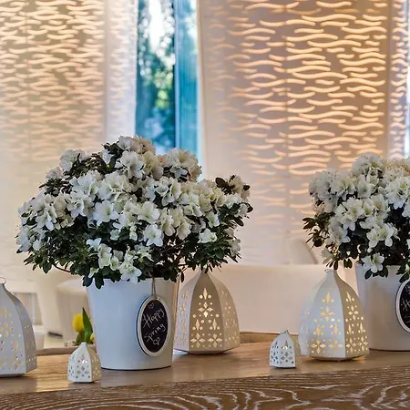Alasia Boutique Limassol